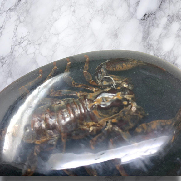Vtg Walleska Ecochicc Waist Belt Lucite Scorpion Buckle Upcycled Soda Tab 44\